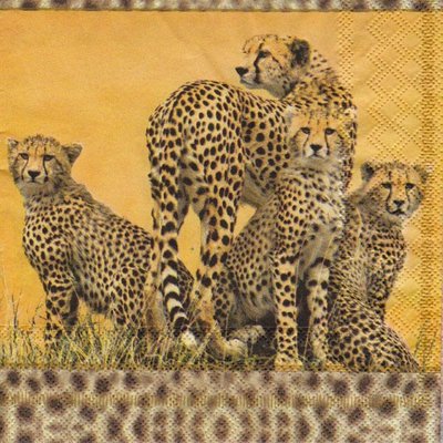 Салфетка Зоо-Мир Леопарды 1405 1405 фото