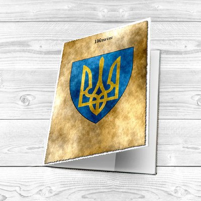 Обложка для паспорта Украины и загранпаспорта Тризуб ОБ-86 ОБ-86 фото